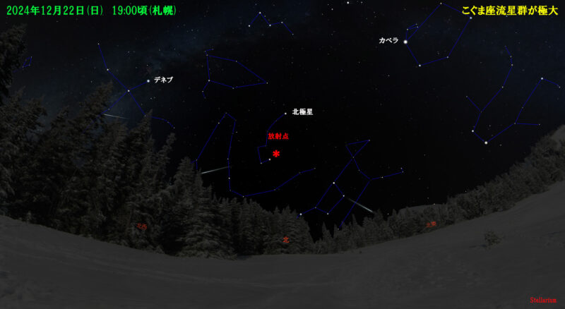こぐま座流星群が極大